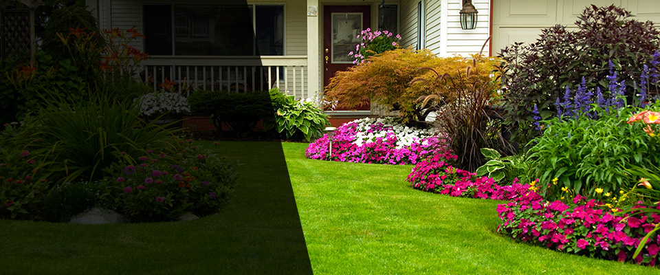 Novi Landscapers