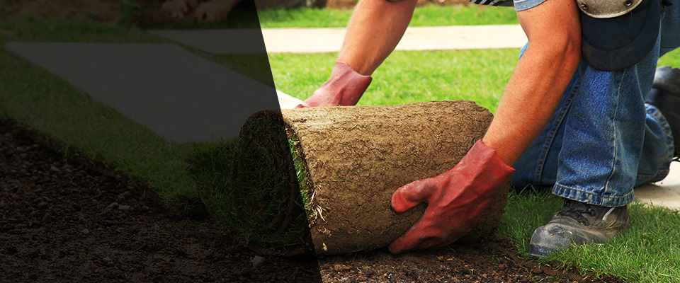 Novi Landscapers
